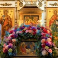 Photo 01